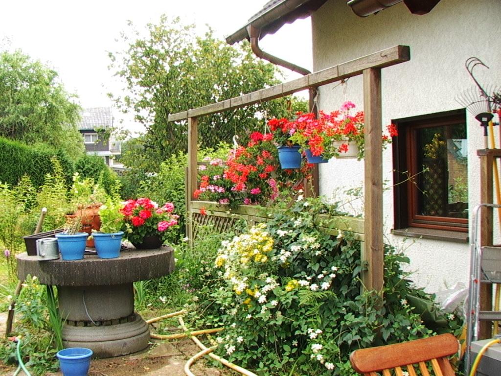 H�ngepflanzen