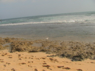 Beach (6)