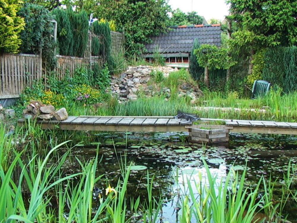 Teich mit Wasserlauf