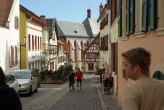 IMGP1264
