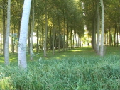 Schnap_001 (27)