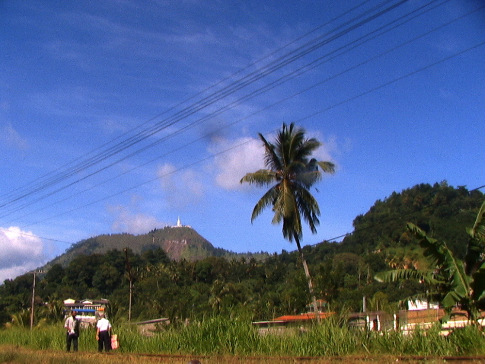 Sri Lanka 062
