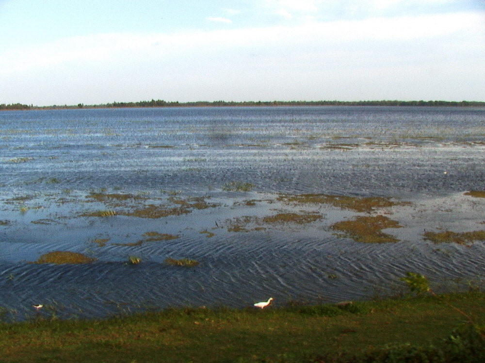 Sri Lanka 167