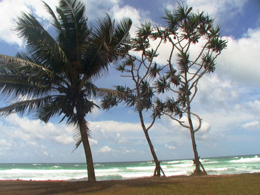 Sri Lanka 199