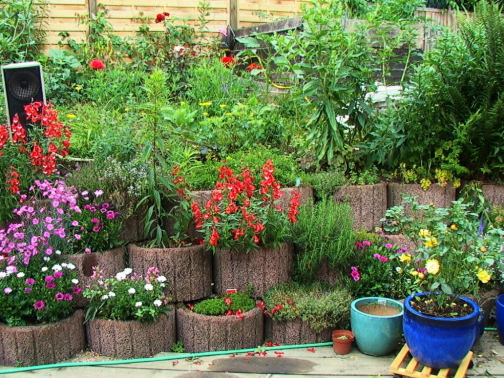 Terrassenhang