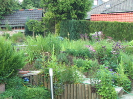 Teichhang 2004