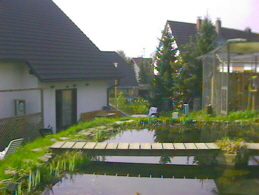 Teichsteg 2000
