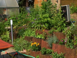 Terrassenhang 2004